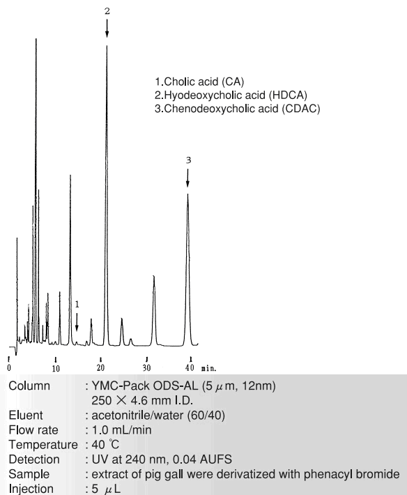 5d5625f80cba2.png 2.png