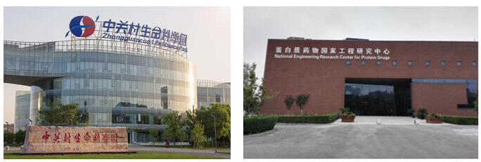 5dccecf4cc738.jpg 24.jpg