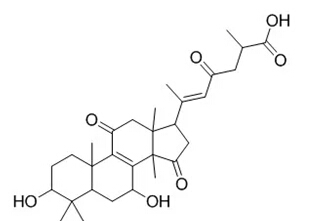 5e23cc89cf0be.jpg 17.jpg