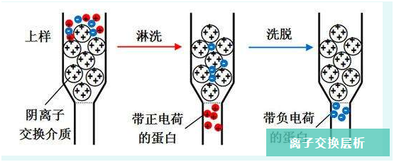 5ee33490405b6.png 電子期刊2.png