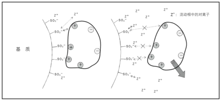 6226f35de2237.png 222.png