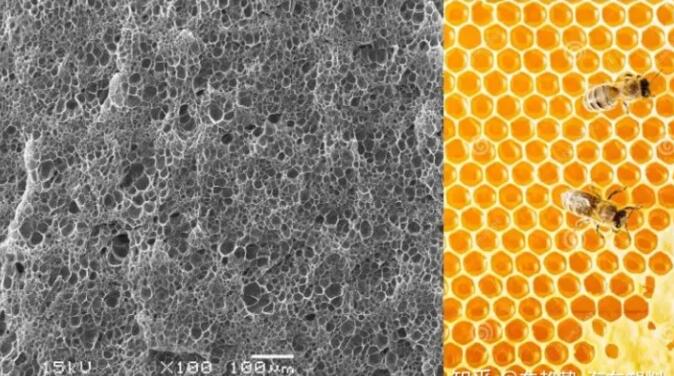 epp發泡聚(jù)丙烯的(de)顯微結構，可以看到這是種連續閉孔結構，類似于蜂(fēng)窩